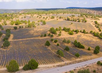 ‘La Política Agraria Común (PAC) de España’ se aprueba lejos de las necesidades de crisis climática actual