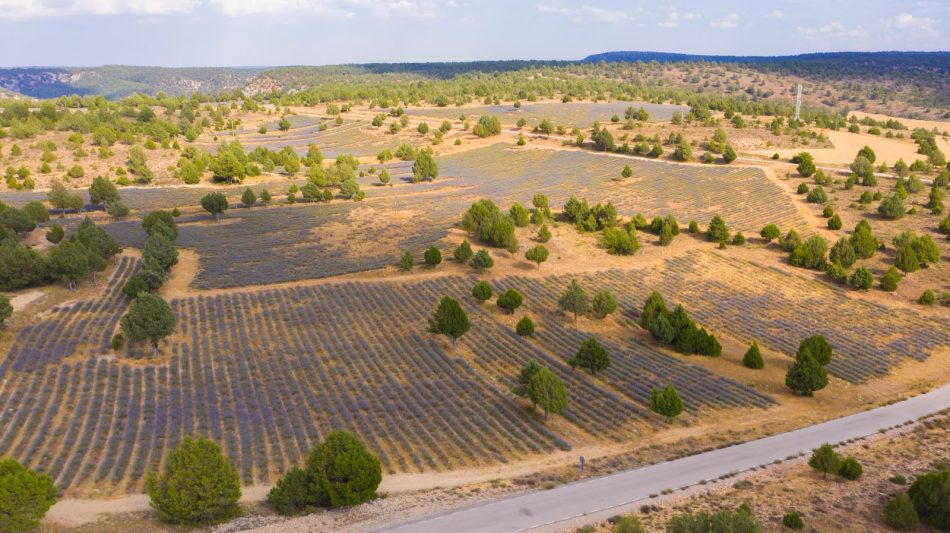 ‘La Política Agraria Común (PAC) de España’ se aprueba lejos de las necesidades de crisis climática actual