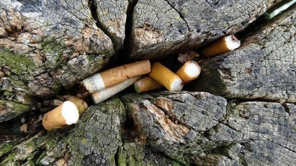 Nofumadores remite más de 77.000 firmas al Ministerio de Transición Ecológica para que prohíba fumar en los parques nacionales