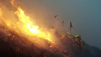 El PCE acusa a la Junta de Castilla y León de “maltratar” a los bomberos forestales
