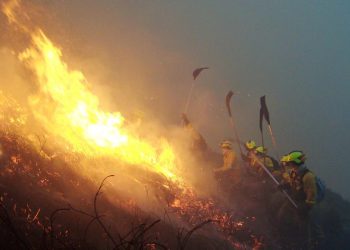 España arde: Los bomberos forestales no aguantan más la falta de concreción en el Estatuto Básico