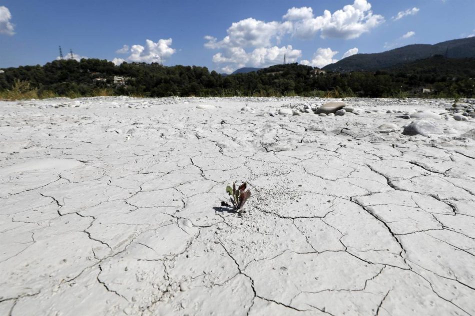 Celebran el Día Internacional contra el Cambio Climático