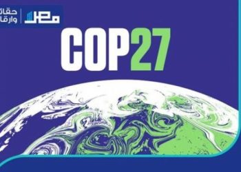 Egipto destaca en la ONU importancia de la próxima cumbre climática