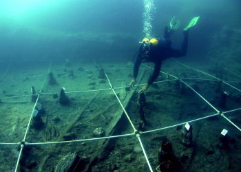 Hallan plantas con efecto estupefaciente en un asentamiento de hace 7.500 años en Italia