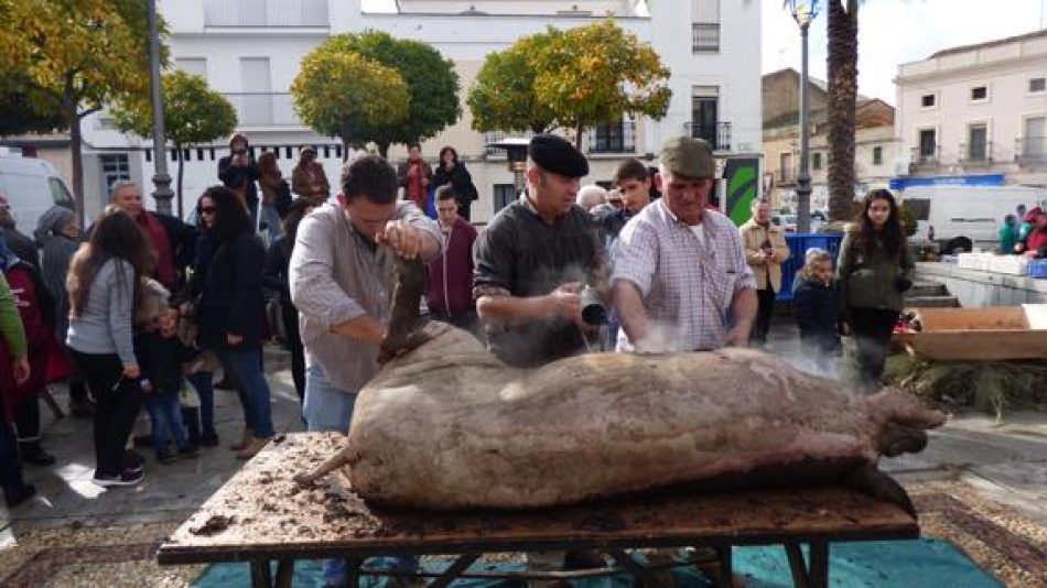 Verdes de Europa  insta al gobierno central a que la nueva Ley de protección animal prometida sea digna de la España del Siglo XXI