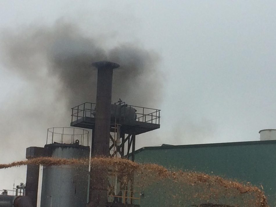 La Coordinadora Ecoloxista pide la paralización de las obras de la planta de tratamiento térmico en Tineo