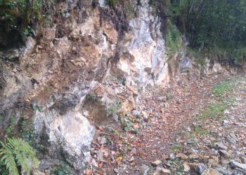 «El Principado de Asturias vulnera la normativa abriendo una nueva vía en el espacio protegido del Parque Natural de Redes»