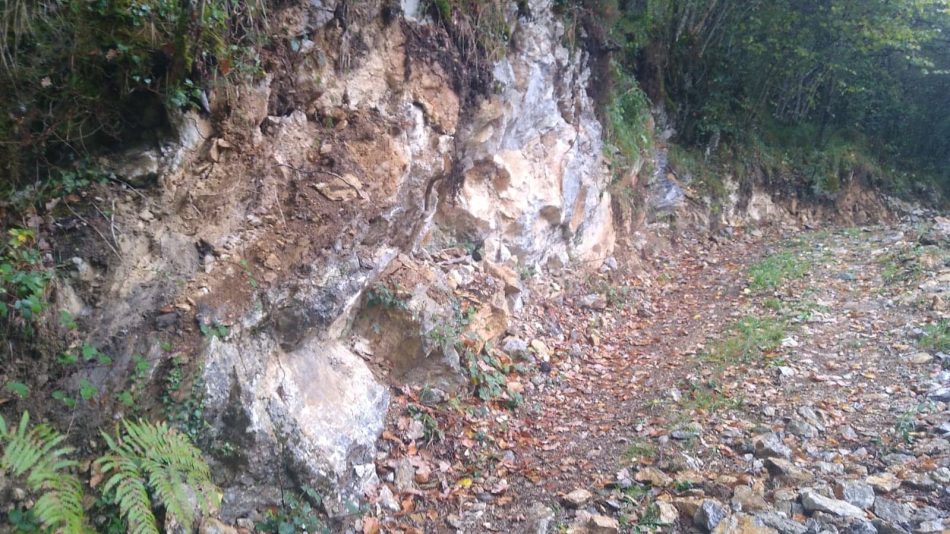 «El Principado de Asturias vulnera la normativa abriendo una nueva vía en el espacio protegido del Parque Natural de Redes»