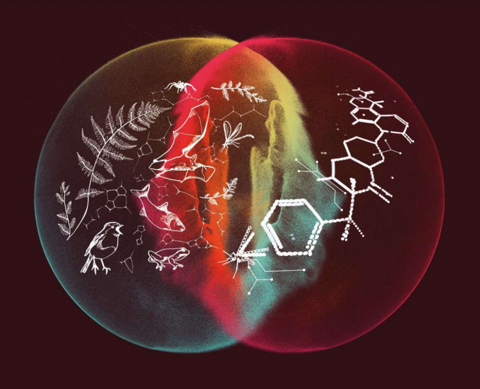 Impulsores genéticos: la ciencia señala que esta nueva tecnología entraña serios peligros a la biodiversidad