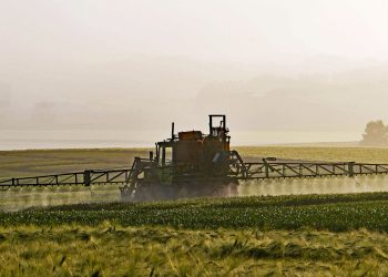 La agricultura de Italia perdió seis mil millones de euros por el cambio climático