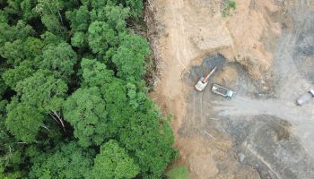 Amigos de la Tierra denuncia el aumento en la deforestación que supondrá el Acuerdo UE Mercosur
