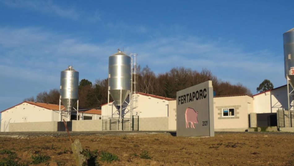 Denuncian outra acción intimidatoria da gandería industrial contra o movemento ecoloxista