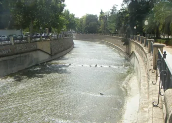 Alianza Verde denuncian el “greenwashing” de los proyectos presentados para la renaturalización del  del río Genil de Granada y se suma a las movilizaciones con los colectivos ecologistas por un río vivo y sin hormigón