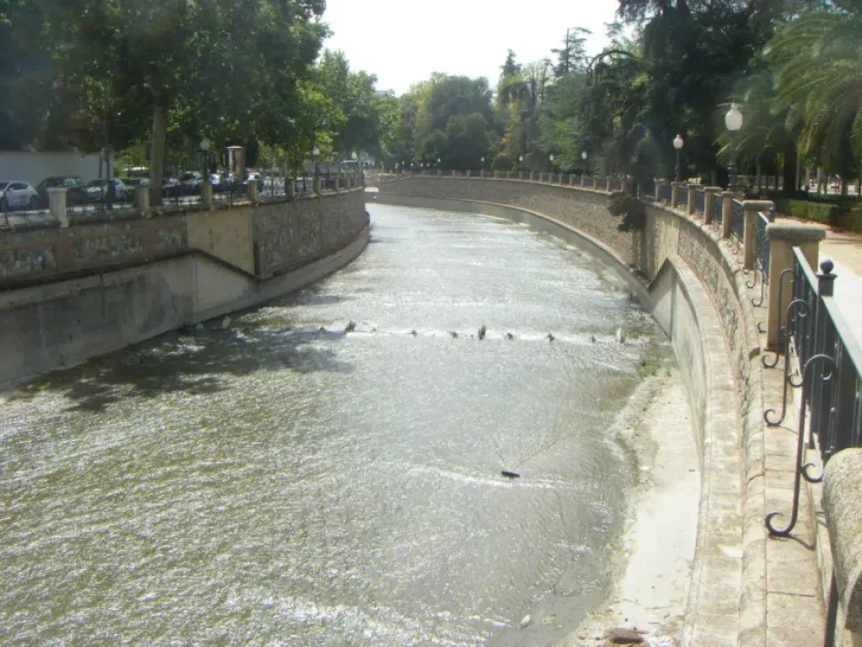 Alianza Verde denuncian el “greenwashing” de los proyectos presentados para la renaturalización del  del río Genil de Granada y se suma a las movilizaciones con los colectivos ecologistas por un río vivo y sin hormigón