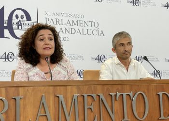 PorAndalucía reclama a Moreno Bonilla que cuente con el consenso y las aportaciones del sector del taxi al regular los VTC
