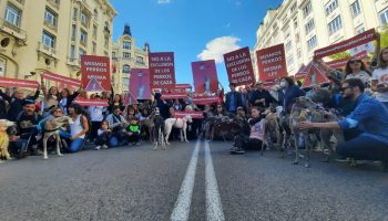 Animalistas protestan en el Congreso por enmienda a la Ley Protección Animales
