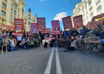 Animalistas protestan en el Congreso por enmienda a la Ley Protección Animales