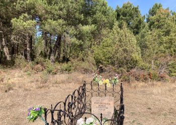 La ARMH exhumará el lunes una fosa en Santa María de las Hoyas, Soria