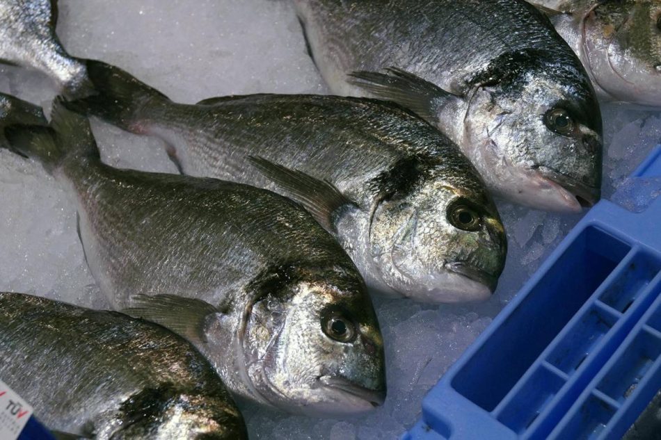 Estas son las especies de pescado más seguras por sus bajos niveles de mercurio