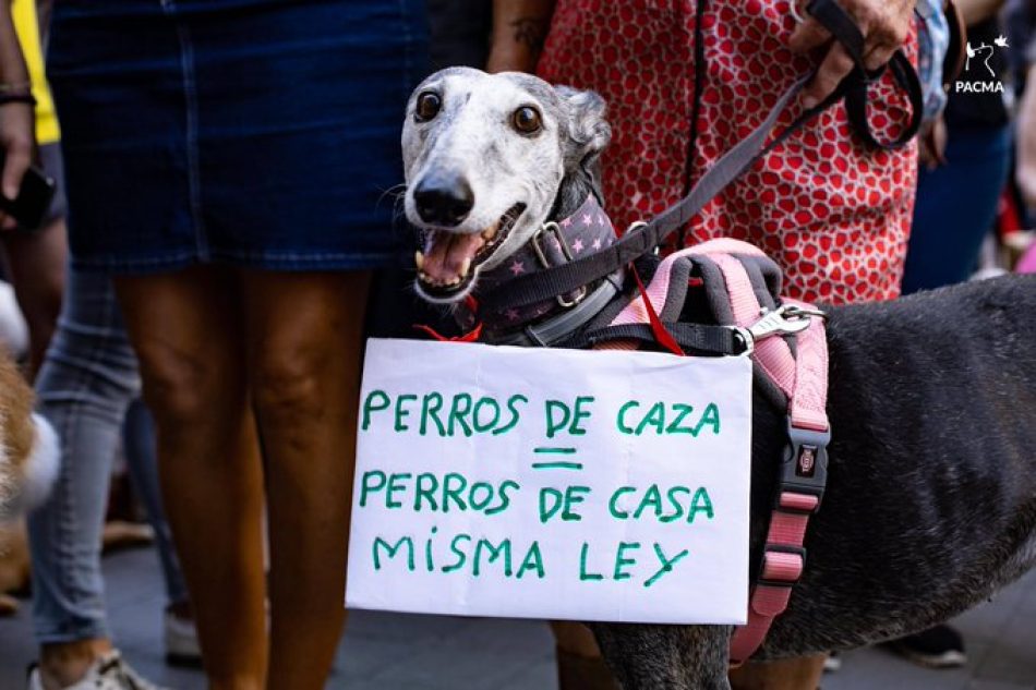 PACMA y PSOE se reúnen para abordar la enmienda de exclusión de los perros de caza