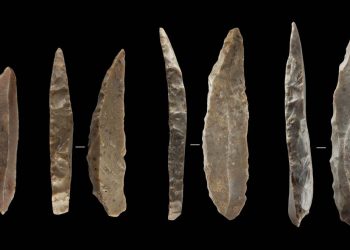 Humanos modernos y neandertales coexistieron en Francia y norte de España entre 1.400 y 2.900 años