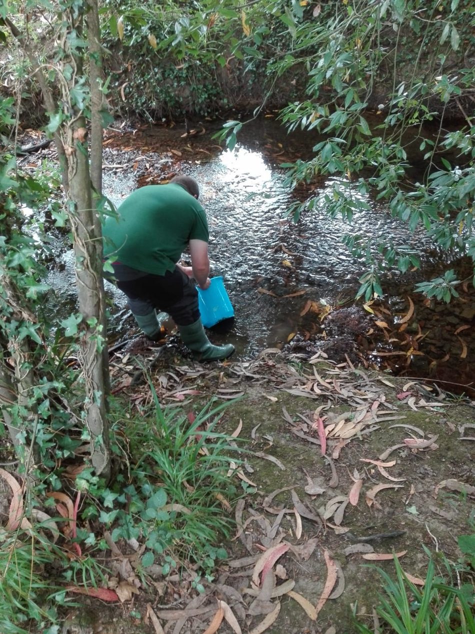 Los ríos asturianos no son solo de los pescadores