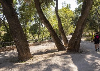 Ecologistas en Acción denuncia que el proyecto de renaturalización del río Henares desnaturaliza un espacio de gran valor