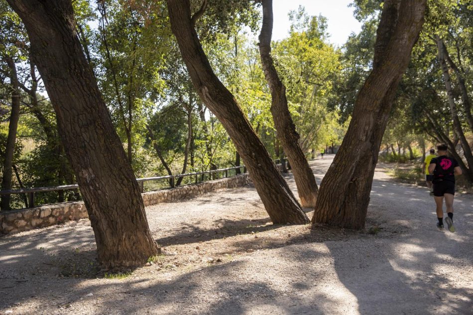 Ecologistas en Acción denuncia que el proyecto de renaturalización del río Henares desnaturaliza un espacio de gran valor