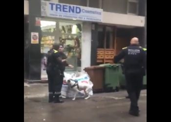 Un policía de Terrassa propina un golpe en la cara a un perro con una defensa extensible