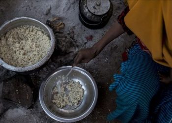 ONU advierte que 2022 puede ser otro año récord para el hambre
