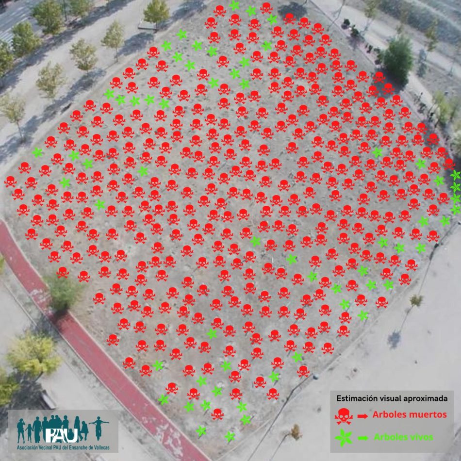 El 77% de los árboles plantados por el Ayuntamiento en el Ensanche de Vallecas están muertos