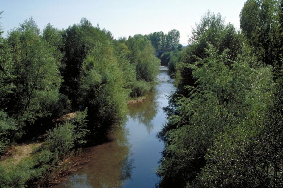 Un megaproyecto de ocio amenaza las riberas protegidas del río Jarama