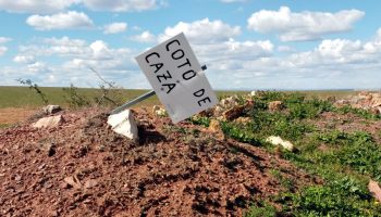 La fiscalía solicita un año de prisión y cuatro meses de multa por falso testimonio en un asunto de furtivismo