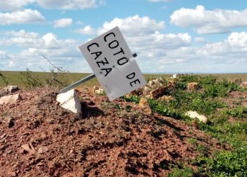 Recurren la Estrategia Nacional de Caza ante la Audiencia Nacional