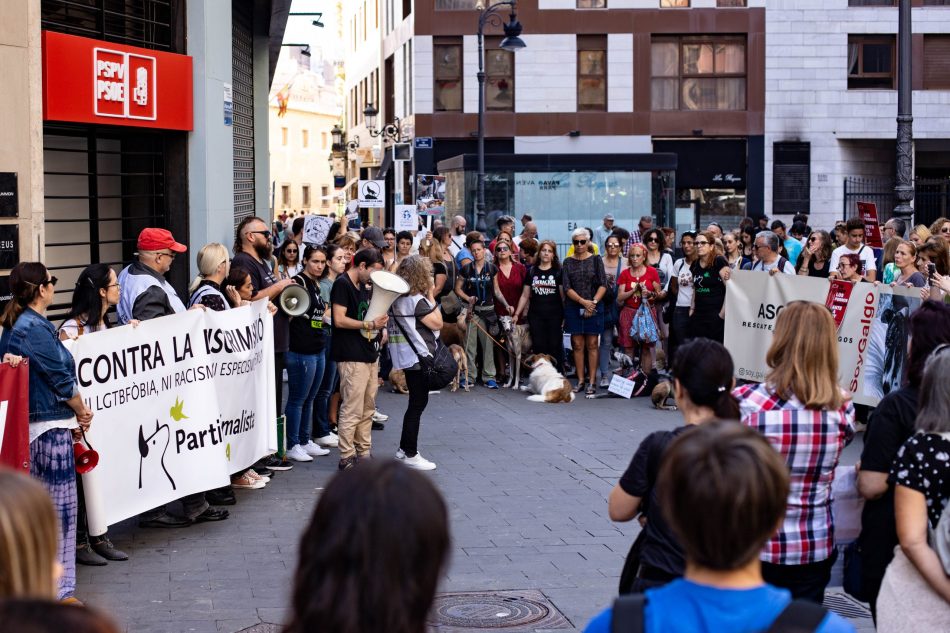 PACMA pide una reunión urgente con Patxi López por la enmienda contra los perros de caza