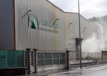 «Nos preocupa la contaminación que genere la nueva línea de fusión de aluminio en Gijón»