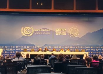Alianza Verde celebra el acuerdo sobre pérdidas y daños en la COP27 pero exige más ambición y acelerar la eliminación de combustibles fósiles