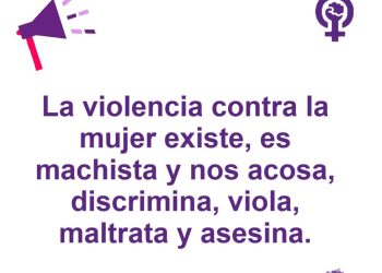 IU apoya las movilizaciones del 25N en Castilla y León