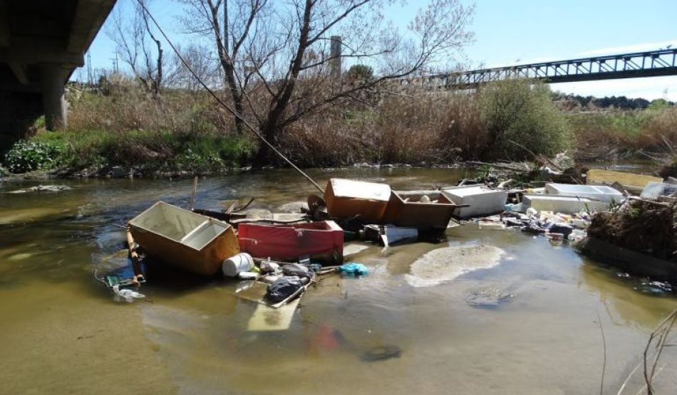 Las organizaciones ecologistas no asistirán a la Sección de Pesca Fluvial en protesta por el abandono de los ríos madrileños