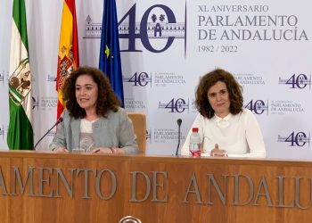 Por Andalucía espera que el Parlamento apoye sus medidas de auto generación y consumo eléctricos para “acabar con la pobreza y la dependencia energéticas de Andalucía”