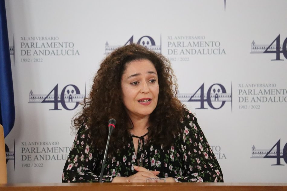 Por Andalucía anuncia una enmienda a la totalidad al Presupuesto de la Junta: “No atajan la crisis económica, social y medioambiental”