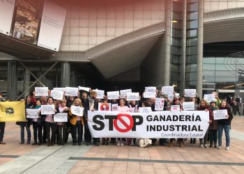 Europa demanda a España por el mayor impacto ambiental de la ganadería industrial