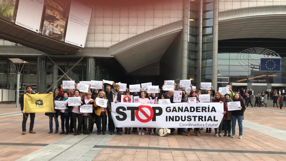 Europa demanda a España por el mayor impacto ambiental de la ganadería industrial