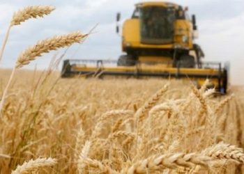 FAO resalta iniciativa rusa de donar alimentos