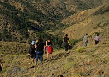 “El pueblo mapuche está escribiendo la historia en sus acciones cotidianas”