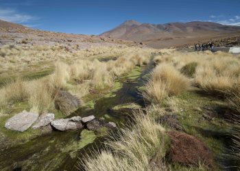 Bolivia apuesta por resolver 17 problemas de aguas transfronterizas con Chile tras el caso Silala