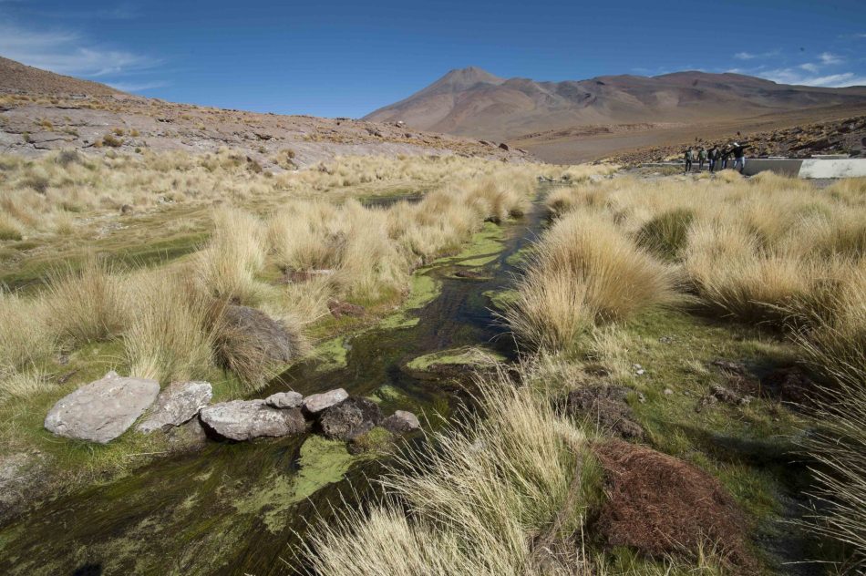 Bolivia apuesta por resolver 17 problemas de aguas transfronterizas con Chile tras el caso Silala