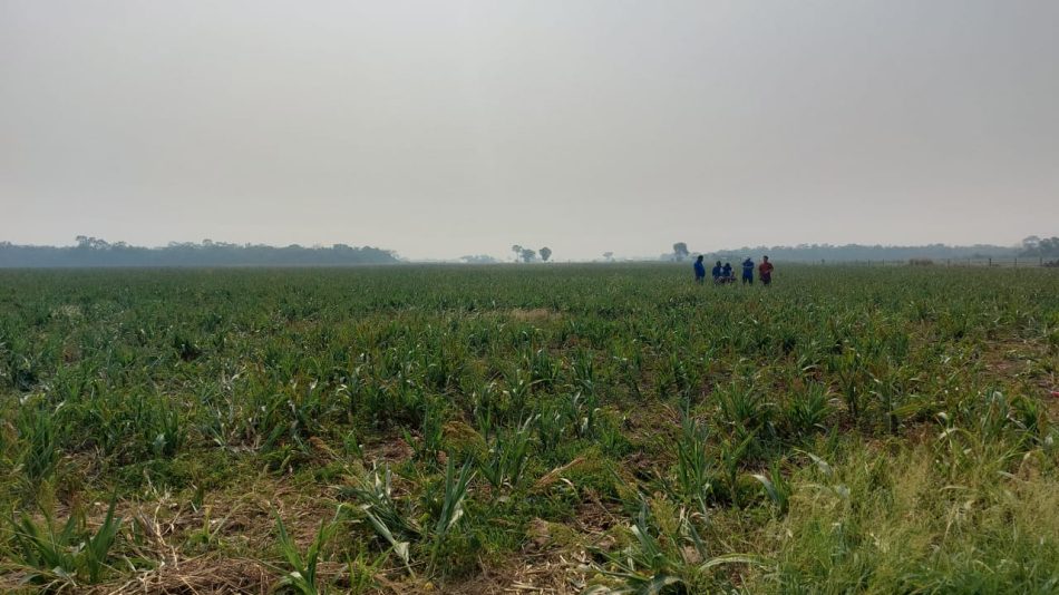 INRA: El 90% de las tierras rurales en Bolivia tienen seguridad jurídica