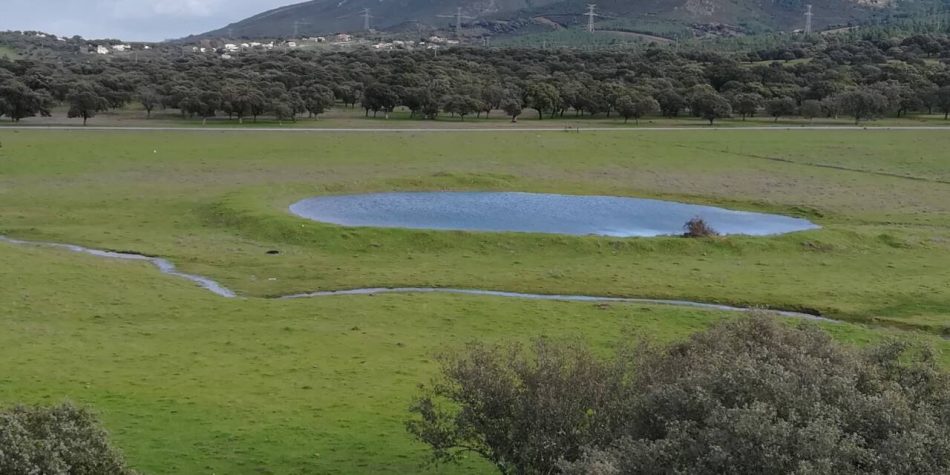 Ecologistas en Acción de Extremadura ha presentado alegaciones a la solicitud de concesión de aguas del proyecto de mina, Las Navas, de Cañaveral