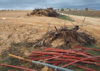 Ecologistas advierten de la amenaza a especies y ecosistemas por la reconversión industrial del suelo rústico en Zamora